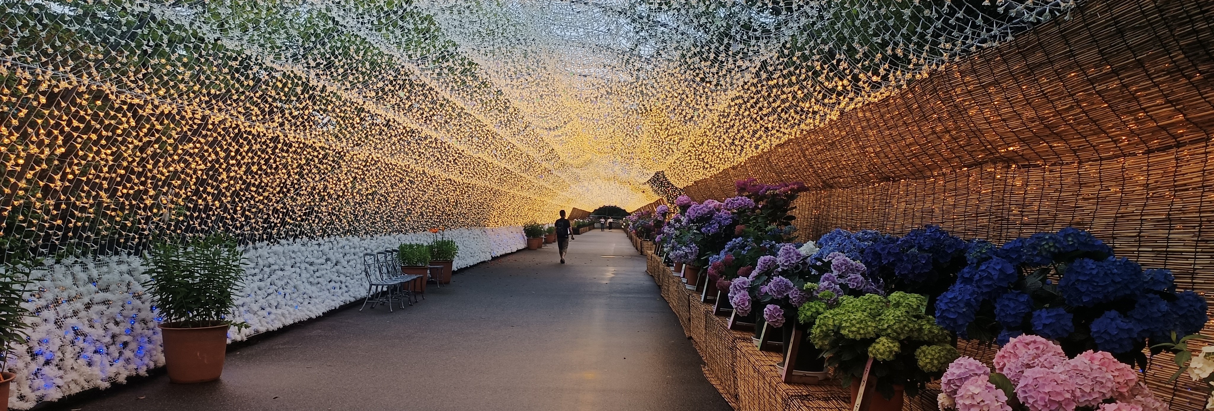 Nabana no Sato Tunnel of Light at Suzuka