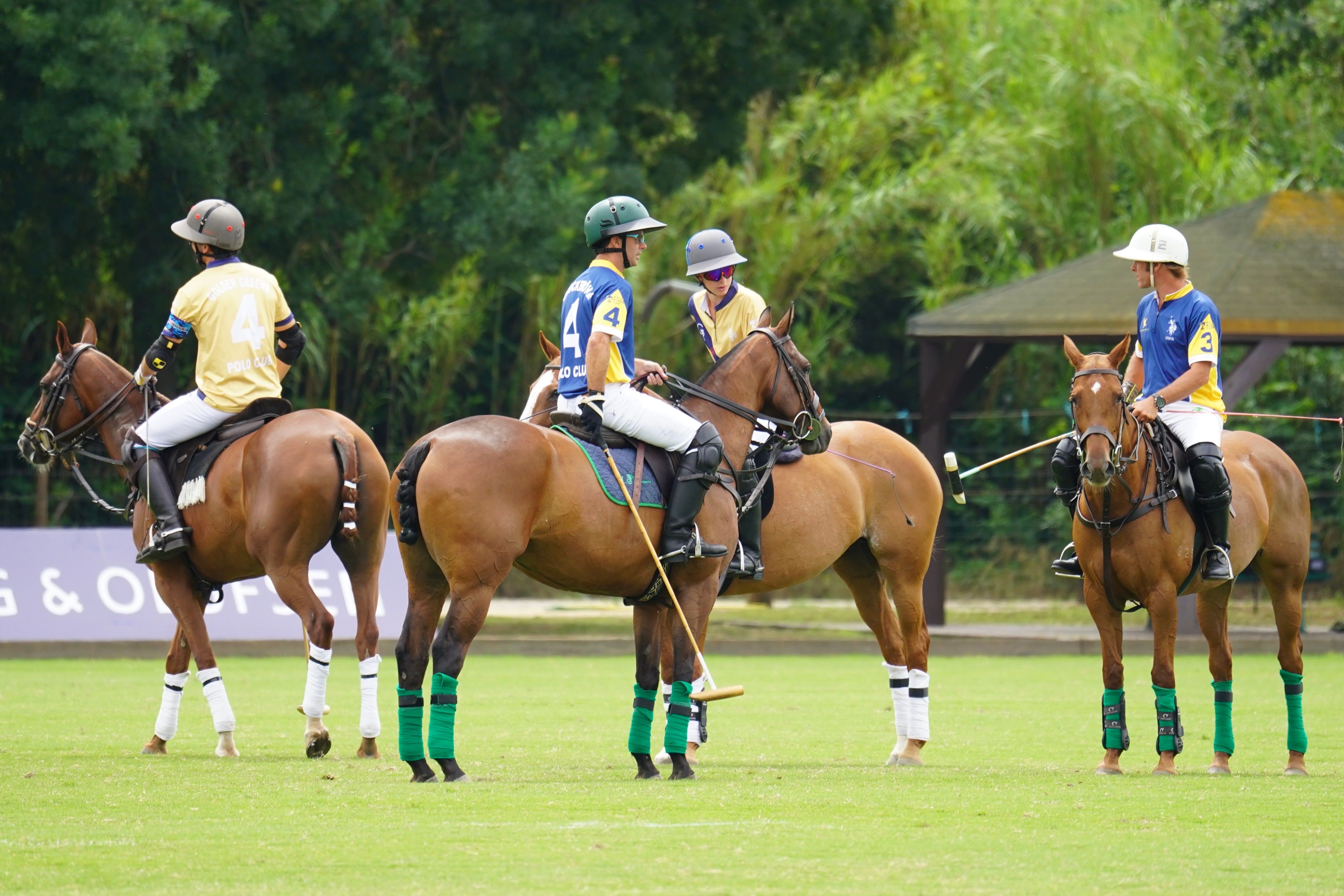 Polo players on horses in action on a grass field