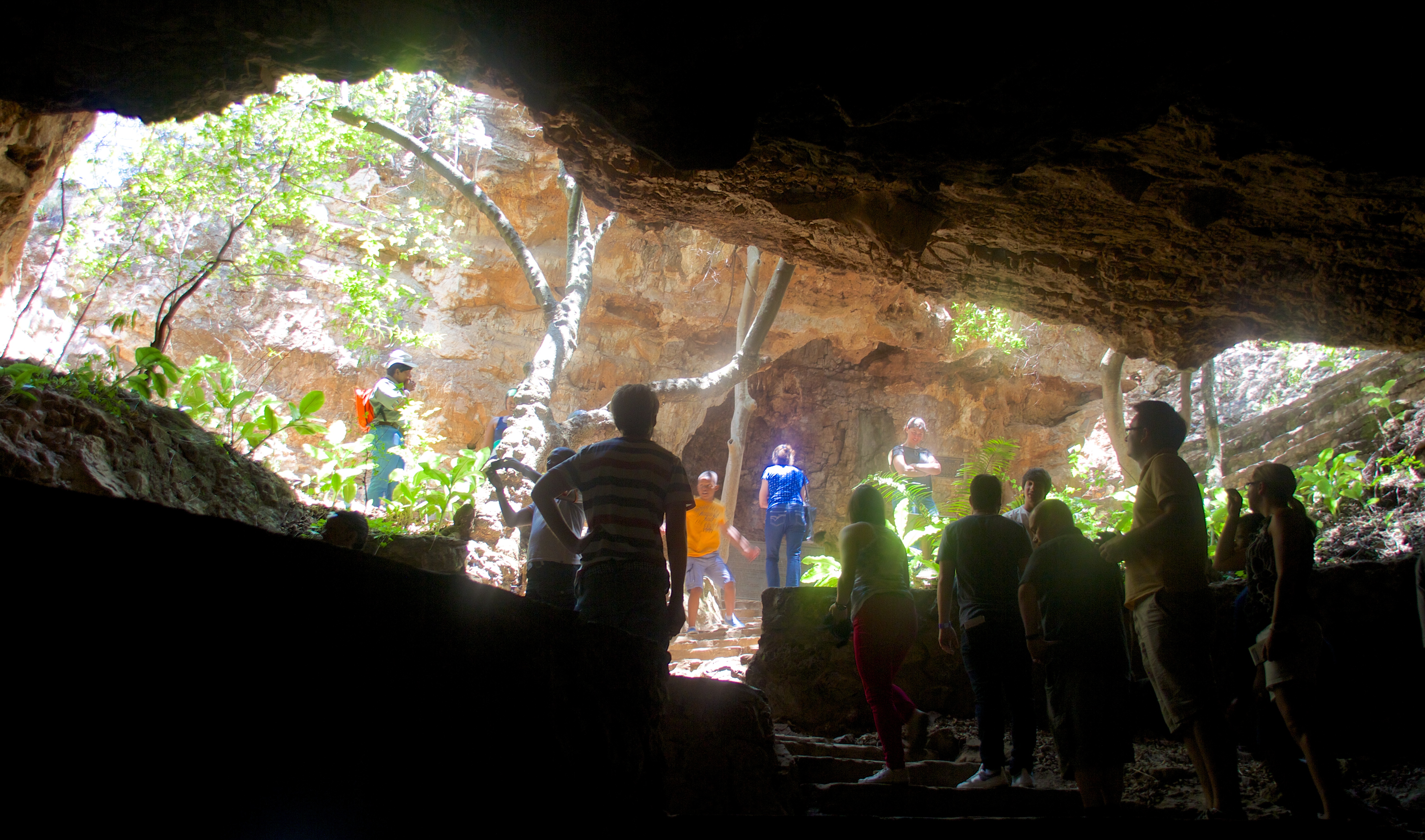 Interior of the Sterkfontein Caves, Cradle of Humankind