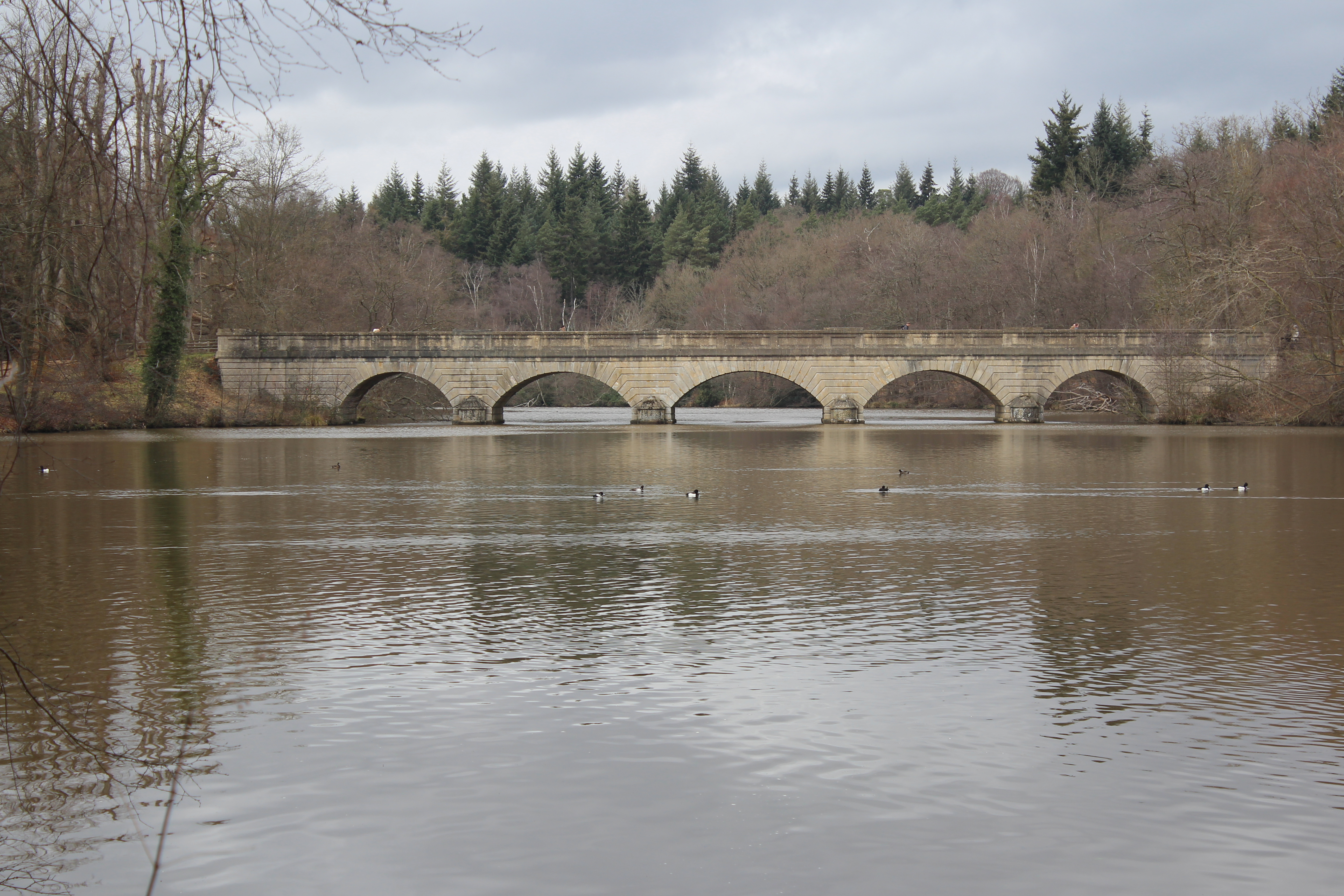 Virginia Water Lake & Savill Garden