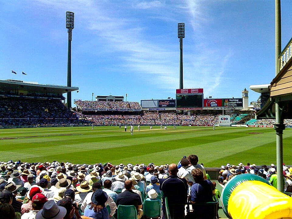 Cricket